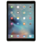 iPad Pro 12